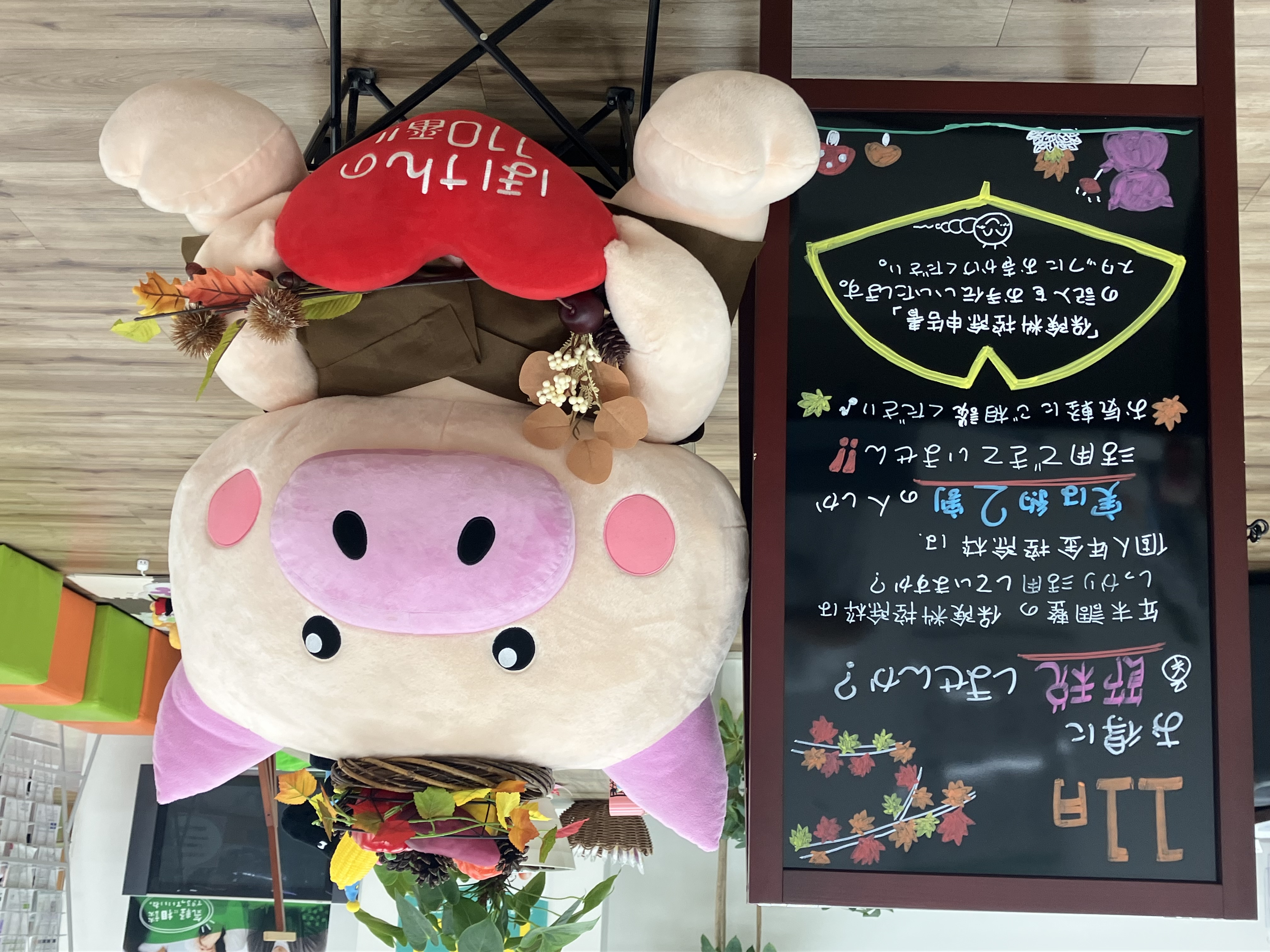 すっかり秋らしい気温になってきました♪