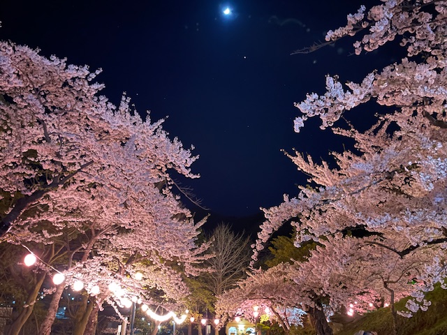 保険の見直し忘れていませんか？