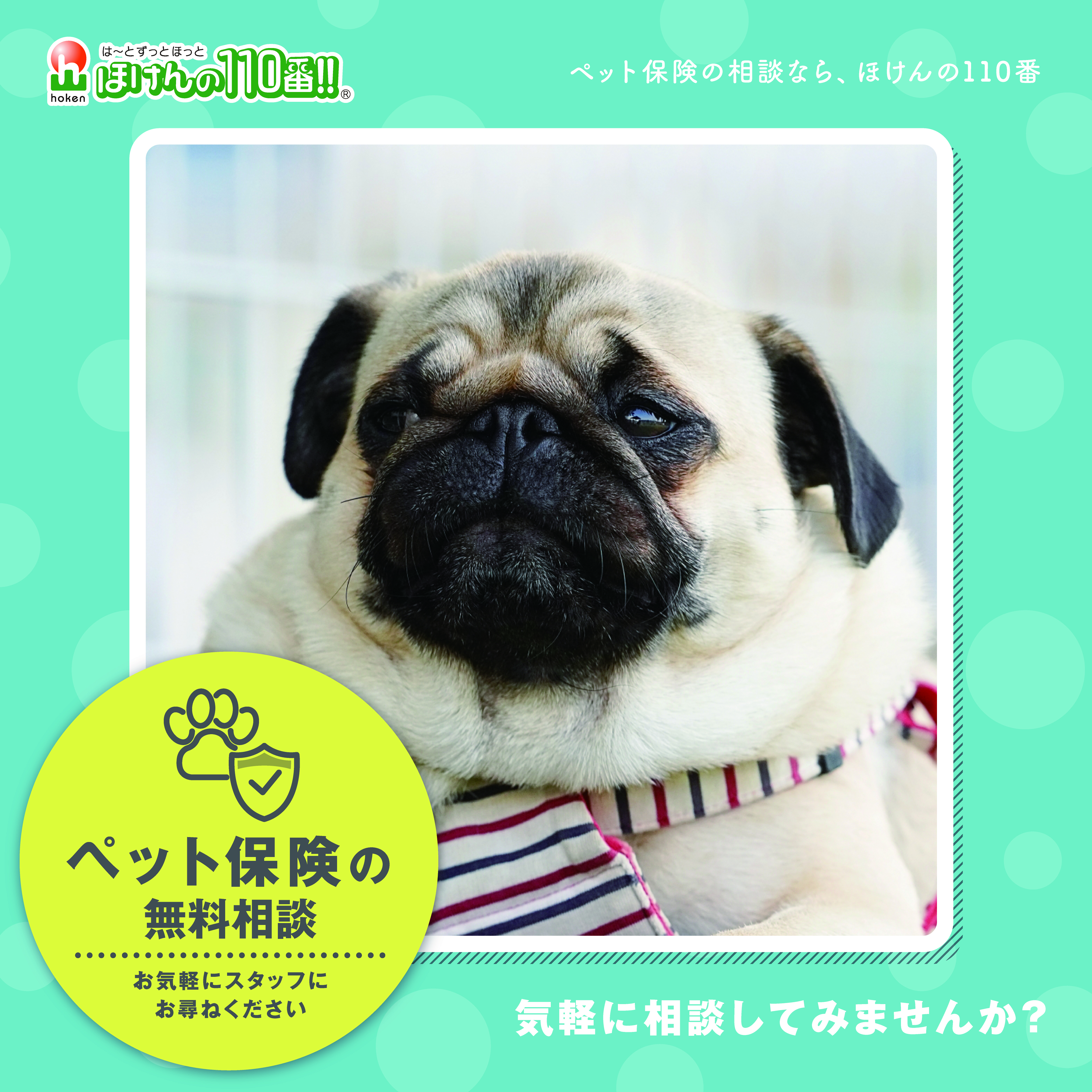 ペット保険