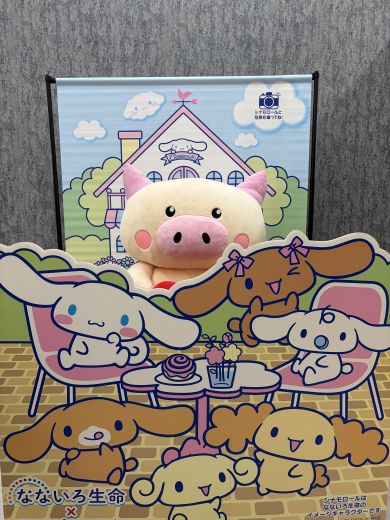 シナモンと一緒に写真を撮ろう！
