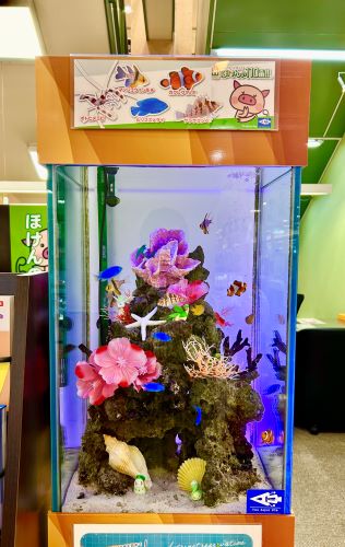 アピタ富山東店　店舗写真