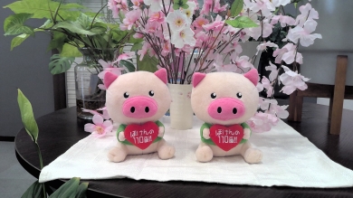 マルナカ一宮店 店舗写真