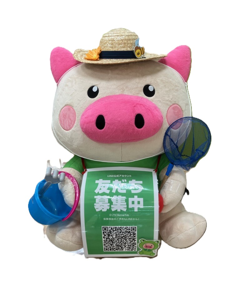 ゆめタウンサンピアン熊本店　店舗写真