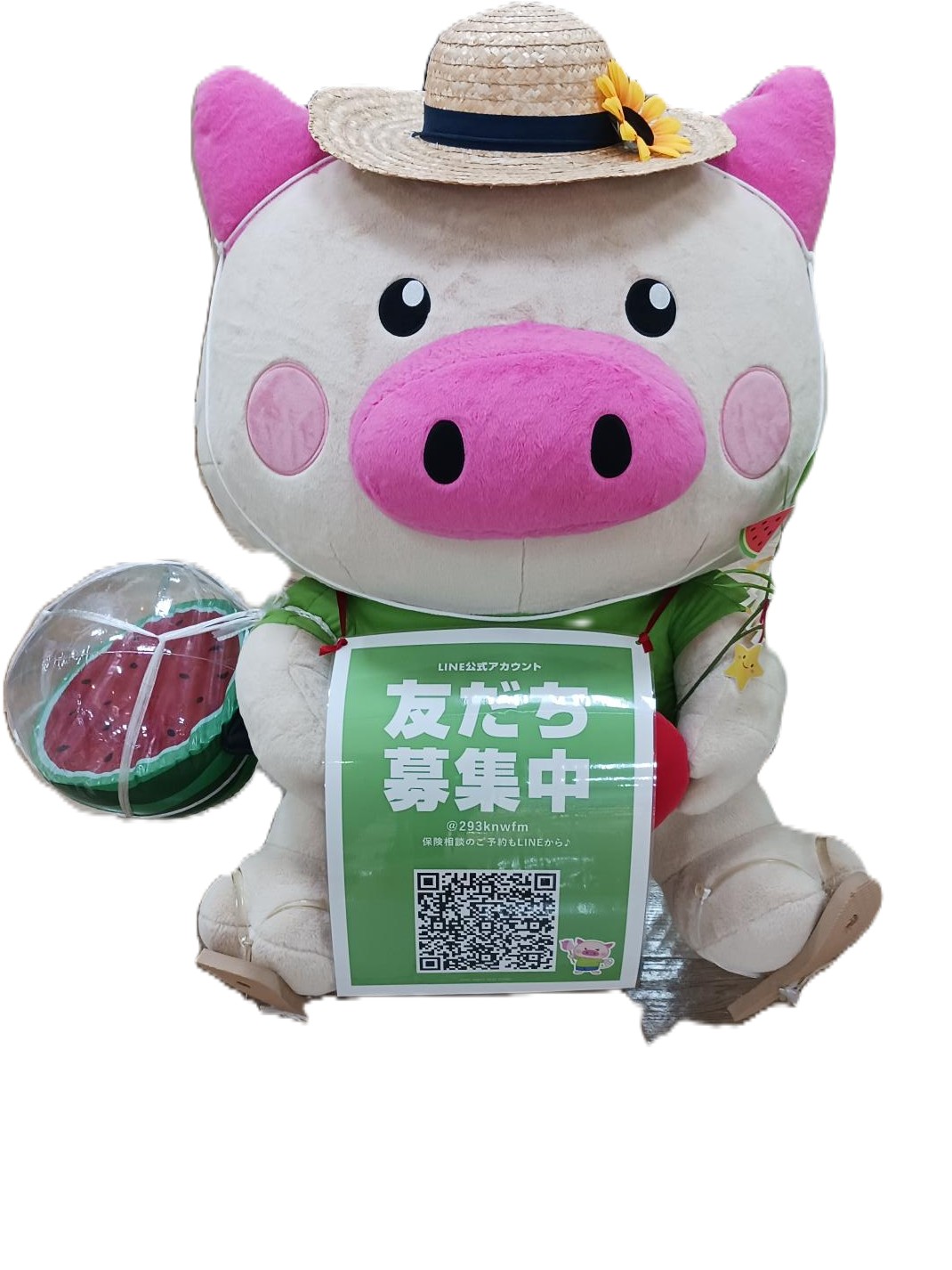 ゆめタウンサンピアン熊本店 店舗写真