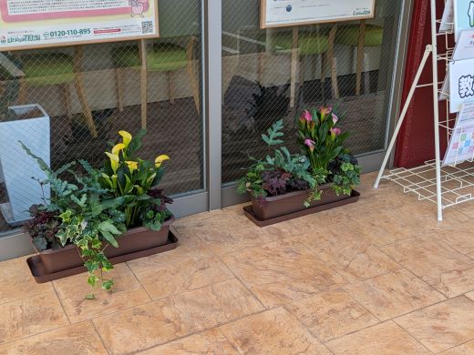 高松ハローズ多肥モール店　店舗写真